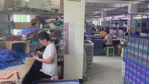 涉案超千万！徐汇警方侦破玩具著作权侵权大案，假冒礼品花卉流入市场